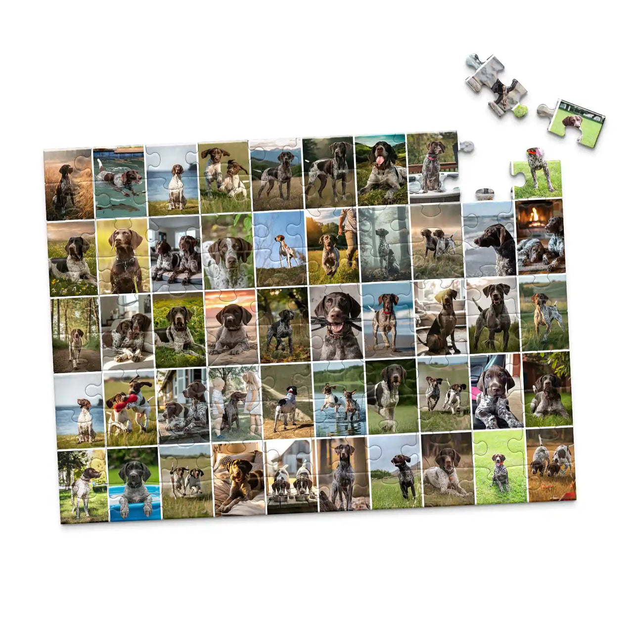 50 Collage Grid Photo Puzzle – Landscape | MakeYourPuzzles - 100 piece