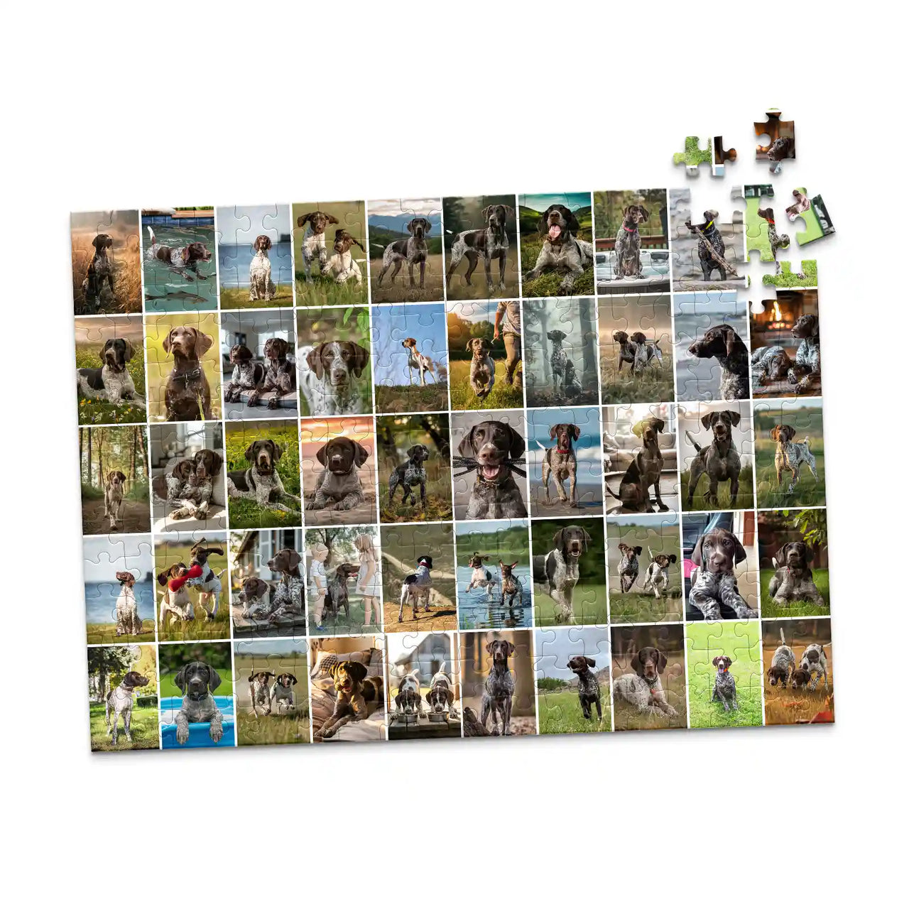 50 Collage Grid Photo Puzzle – Landscape | MakeYourPuzzles - 252 piece