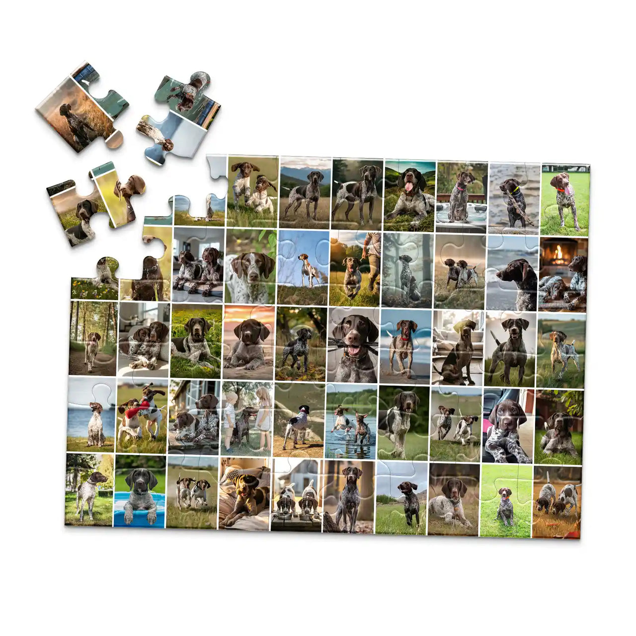 50 Collage Grid Photo Puzzle – Landscape | MakeYourPuzzles - 48 piece