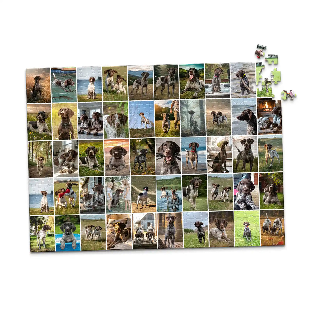 50 Collage Grid Photo Puzzle – Landscape | MakeYourPuzzles - 500 piece