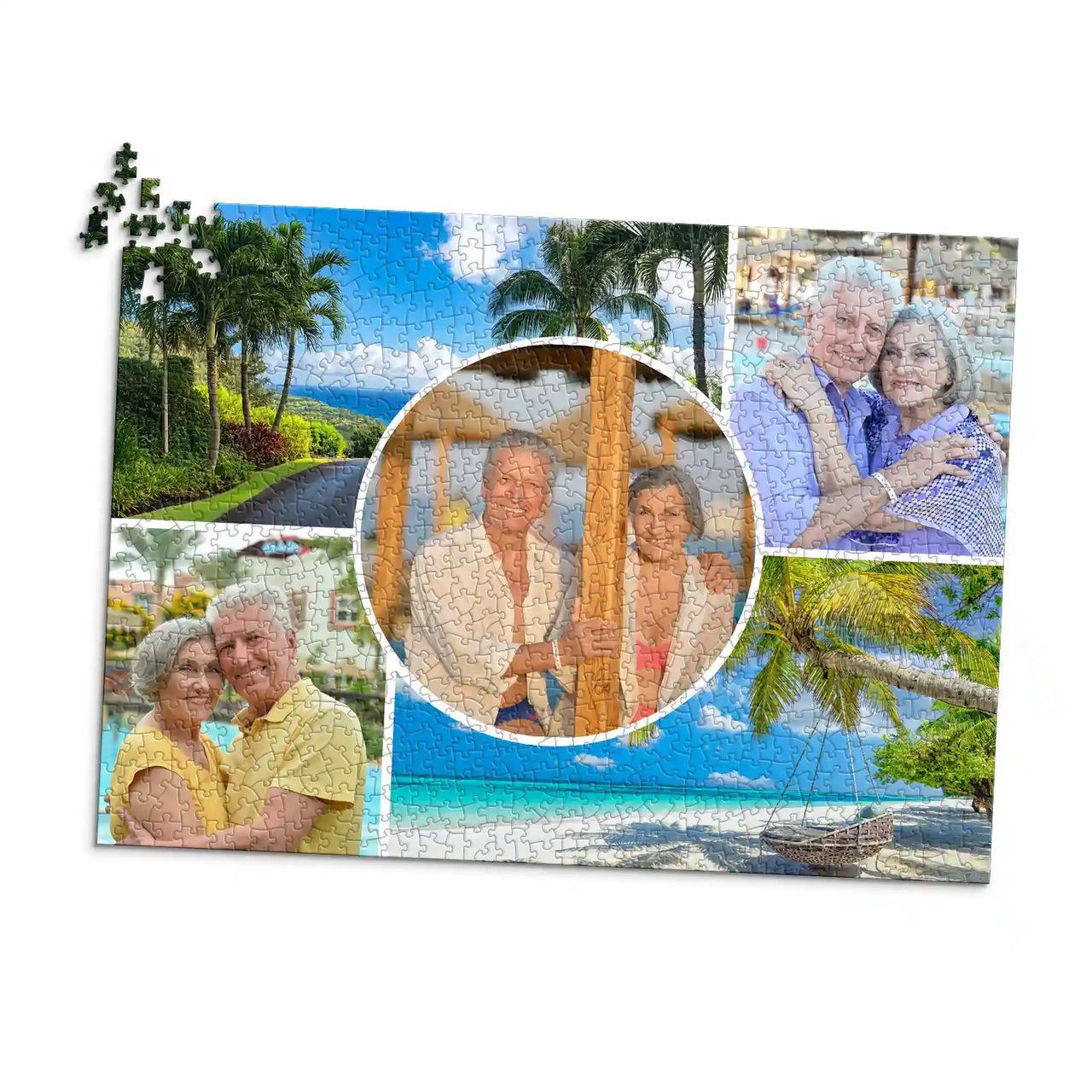 5 Collage Circle Photo Puzzle – Grid - 1000 piece