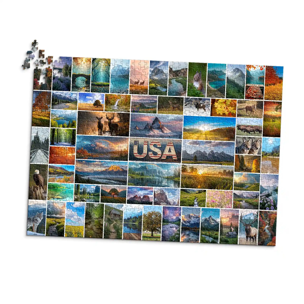 65 Collage Grid Photo Puzzle – Landscape - 1000 piece