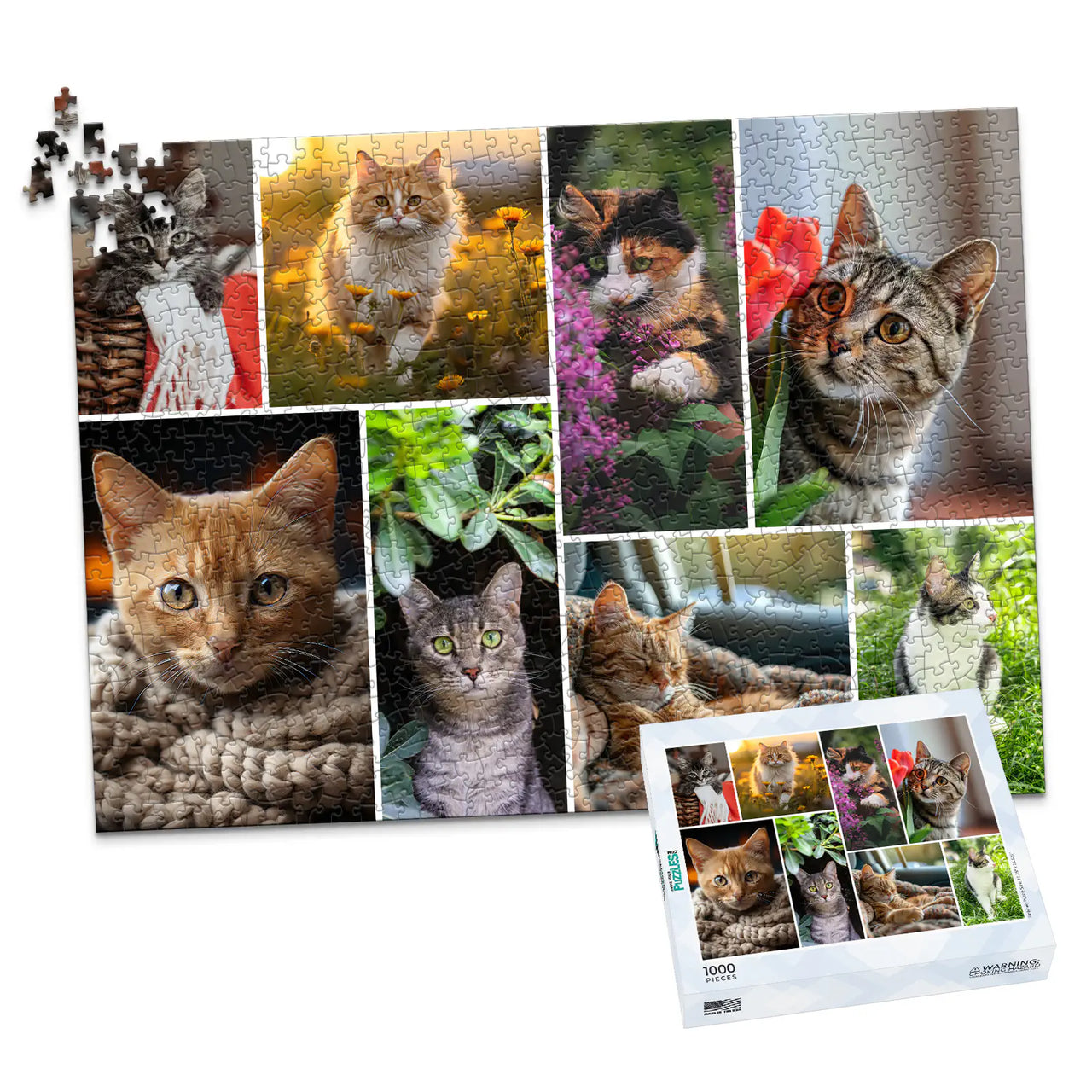 8 Collage Mosaic Photo Puzzle – Landscape - 1000 piece and box