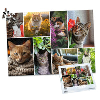 8 Collage Mosaic Photo Puzzle – Landscape - 1000 piece and box