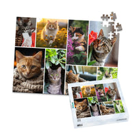 8 Collage Mosaic Photo Puzzle – Landscape - 252 piece and box