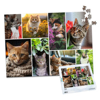 8 Collage Mosaic Photo Puzzle – Landscape - 500 piece and box