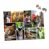 8 Collage Mosaic Photo Puzzle – Landscape - 100 piece