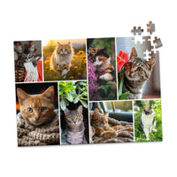 8 Collage Mosaic Photo Puzzle – Landscape - 252 piece