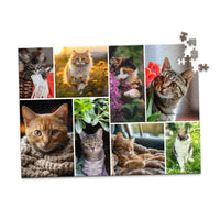 8 Collage Mosaic Photo Puzzle – Landscape - 500 piece