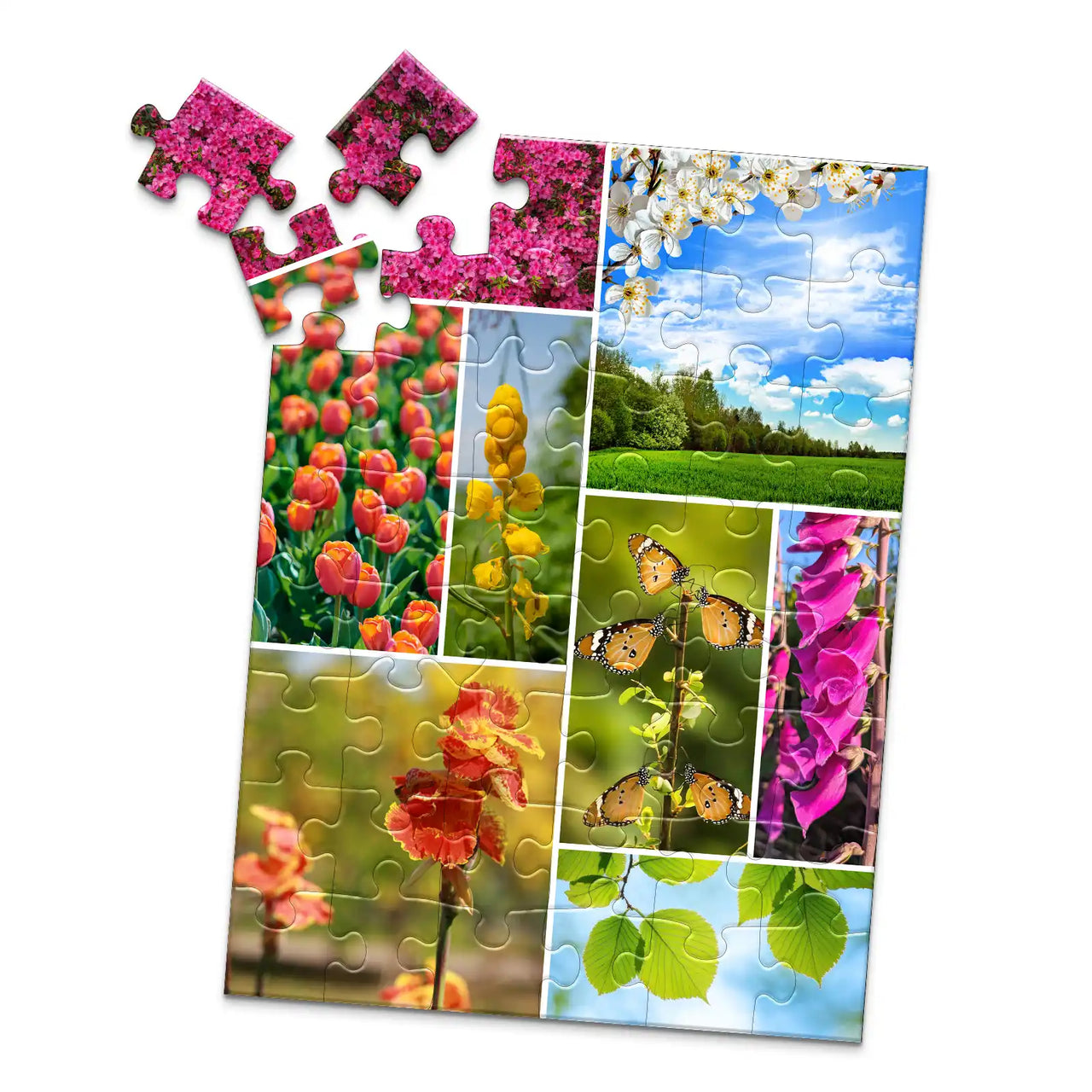 8 Collage Mosaic Photo Puzzle – Portrait - 48 piece