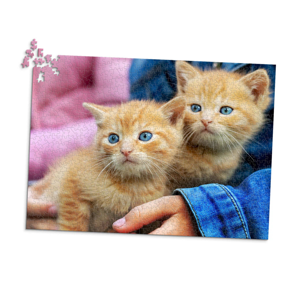 1000 Piece Pet Photo Puzzle featuring two orange tabby kittens with blue eyes being held by a person wearing a blue denim jacket, shown against a plain white background.