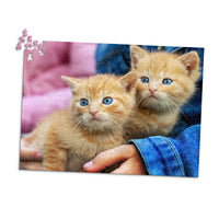 1000 Piece Pet Photo Puzzle featuring two orange tabby kittens with blue eyes being held by a person wearing a blue denim jacket, shown against a plain white background.