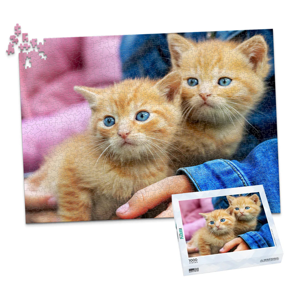 1000 Piece Pet Photo Puzzle with box featuring two orange tabby kittens with blue eyes being held by a person wearing a blue denim jacket, shown against a plain white background.