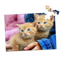 100 Piece Pet Photo Puzzle featuring two orange tabby kittens with blue eyes being held by a person wearing a blue denim jacket, shown against a plain white background.