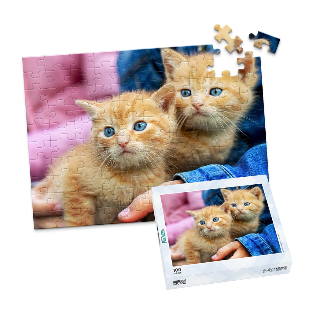 100 Piece Pet Photo Puzzle with box featuring two orange tabby kittens with blue eyes being held by a person wearing a blue denim jacket, shown against a plain white background.