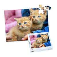 100 Piece Pet Photo Puzzle with box featuring two orange tabby kittens with blue eyes being held by a person wearing a blue denim jacket, shown against a plain white background.