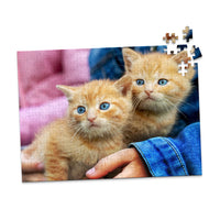 252 Piece Pet Photo Puzzle featuring two orange tabby kittens with blue eyes being held by a person wearing a blue denim jacket, shown against a plain white background.