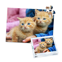 252 Piece Pet Photo Puzzle with box featuring two orange tabby kittens with blue eyes being held by a person wearing a blue denim jacket, shown against a plain white background.