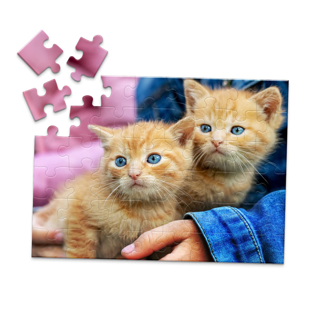 48 Piece Pet Photo Puzzle featuring two orange tabby kittens with blue eyes being held by a person wearing a blue denim jacket, shown against a plain white background.