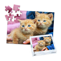 48 Piece Pet Photo Puzzle with box featuring two orange tabby kittens with blue eyes being held by a person wearing a blue denim jacket, shown against a plain white background.