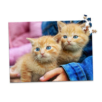 500 Piece Pet Photo Puzzle featuring two orange tabby kittens with blue eyes being held by a person wearing a blue denim jacket, shown against a plain white background.
