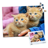 500 Piece Pet Photo Puzzle with box featuring two orange tabby kittens with blue eyes being held by a person wearing a blue denim jacket, shown against a plain white background.