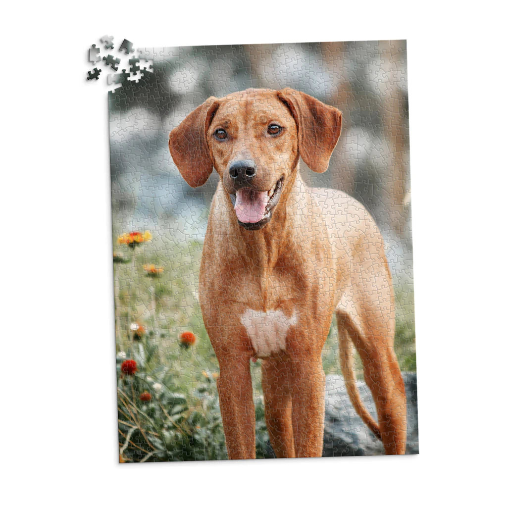 1000 Piece Custom Pet Photo Puzzle of ridgeback dog with a reddish-brown coat and a white chest patch, standing outdoors in a grassy area with blurred flowers and trees in the background.