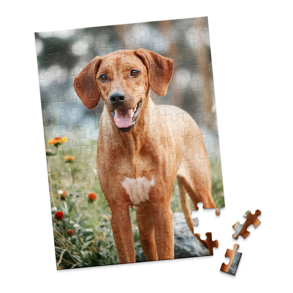 100 Piece Custom Pet Photo Puzzle of ridgeback dog with a reddish-brown coat and a white chest patch, standing outdoors in a grassy area with blurred flowers and trees in the background.
