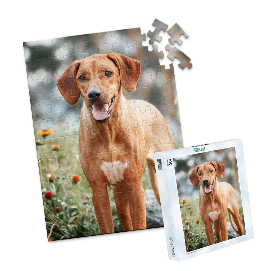 100 Piece Custom Pet Photo Puzzle and box of ridgeback dog with a reddish-brown coat and a white chest patch, standing outdoors in a grassy area with blurred flowers and trees in the background.