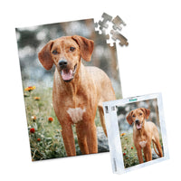 100 Piece Custom Pet Photo Puzzle and box of ridgeback dog with a reddish-brown coat and a white chest patch, standing outdoors in a grassy area with blurred flowers and trees in the background.