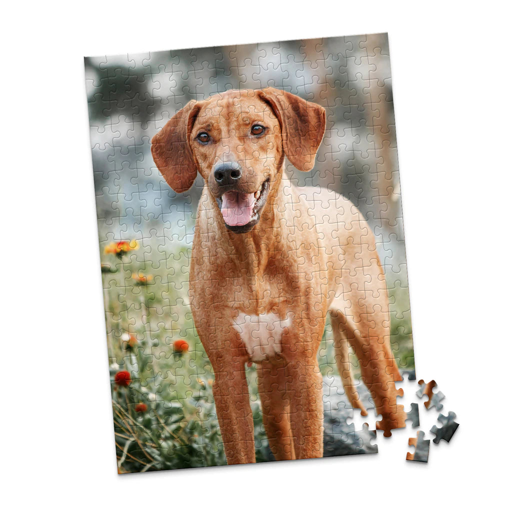 252 Piece Custom Pet Photo Puzzle of ridgeback dog with a reddish-brown coat and a white chest patch, standing outdoors in a grassy area with blurred flowers and trees in the background.
