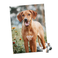 252 Piece Custom Pet Photo Puzzle of ridgeback dog with a reddish-brown coat and a white chest patch, standing outdoors in a grassy area with blurred flowers and trees in the background.
