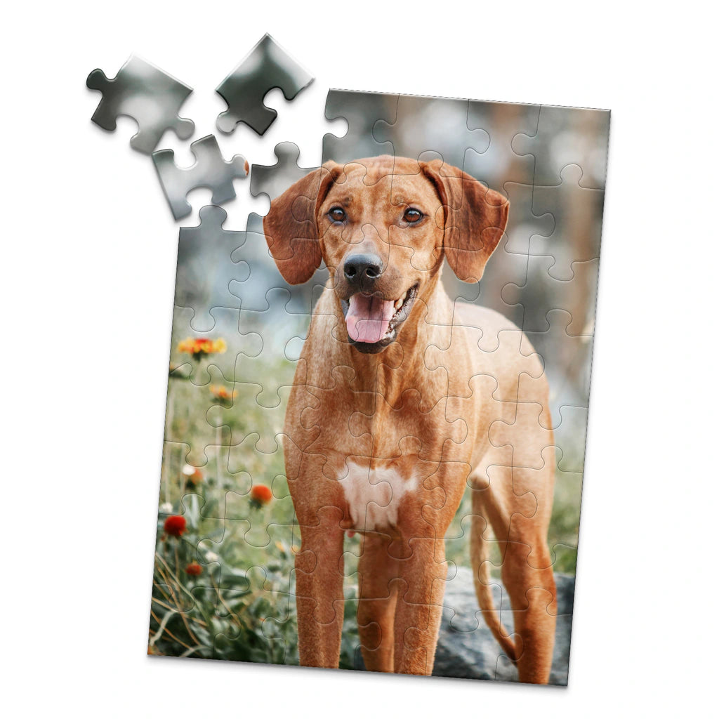 48 Piece Custom Pet Photo Puzzle of ridgeback dog with a reddish-brown coat and a white chest patch, standing outdoors in a grassy area with blurred flowers and trees in the background.