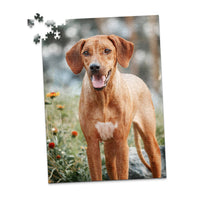 500 Piece Custom Pet Photo Puzzle of ridgeback dog with a reddish-brown coat and a white chest patch, standing outdoors in a grassy area with blurred flowers and trees in the background.