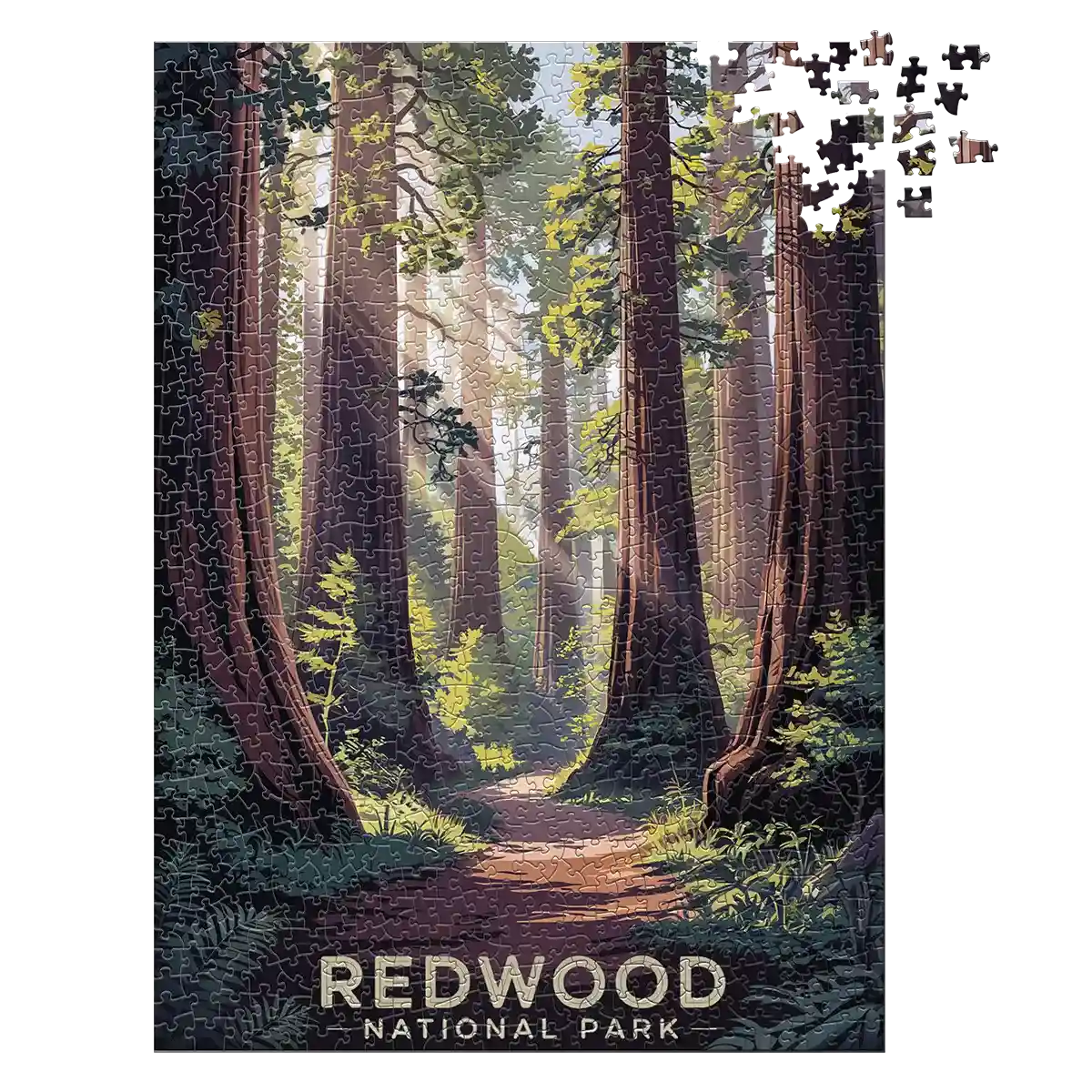 Redwood National Park 1000 piece puzzle by MakeYourPuzzles