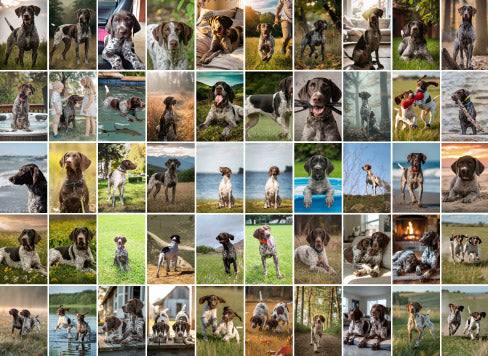 50 Collage Grid Photo Puzzle – Landscape | MakeYourPuzzles